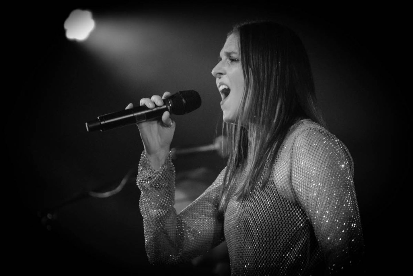 Furalines cover band live on stage in black and white
